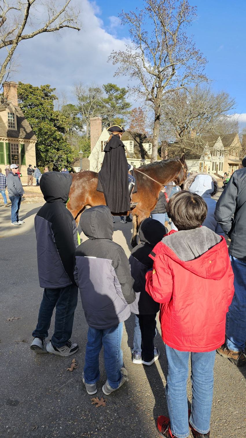 One of the horses at Colonial Williamsburg